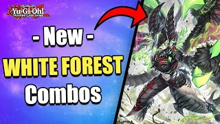 3 MUST KNOW COMBOS!!! | NEW PURE WHITE FOREST COMBOS! | POST ALLIANCE INSIGHT! | Yu-Gi-Oh!
New Pure White Forest Combos post Alliance Insight!
Decklist: https://ygoprodeck.com/deck/pure-white-forest-post-alin-604094
Twitter: https://twitter.com/SuperNix93
Master Duel ID: 578-960-703
▬▬▬▬▬▬▬▬▬▬▬▬▬▬▬▬▬▬▬▬▬▬▬▬▬▬▬▬
Time Stamps
0:00 Combo 1
0:56 Combo 2
1:51 Combo 3
2:45 Decklist
3:21 Subscribe!
#YuGiOh #遊戯王 #whiteforest #白き森 #Deck #Combos #SuperNix 3 MUST KNOW COMBOS!!! | NEW PURE WHITE FOREST COMBOS! | POST ALLIANCE INSIGHT! | Yu-Gi-Oh!