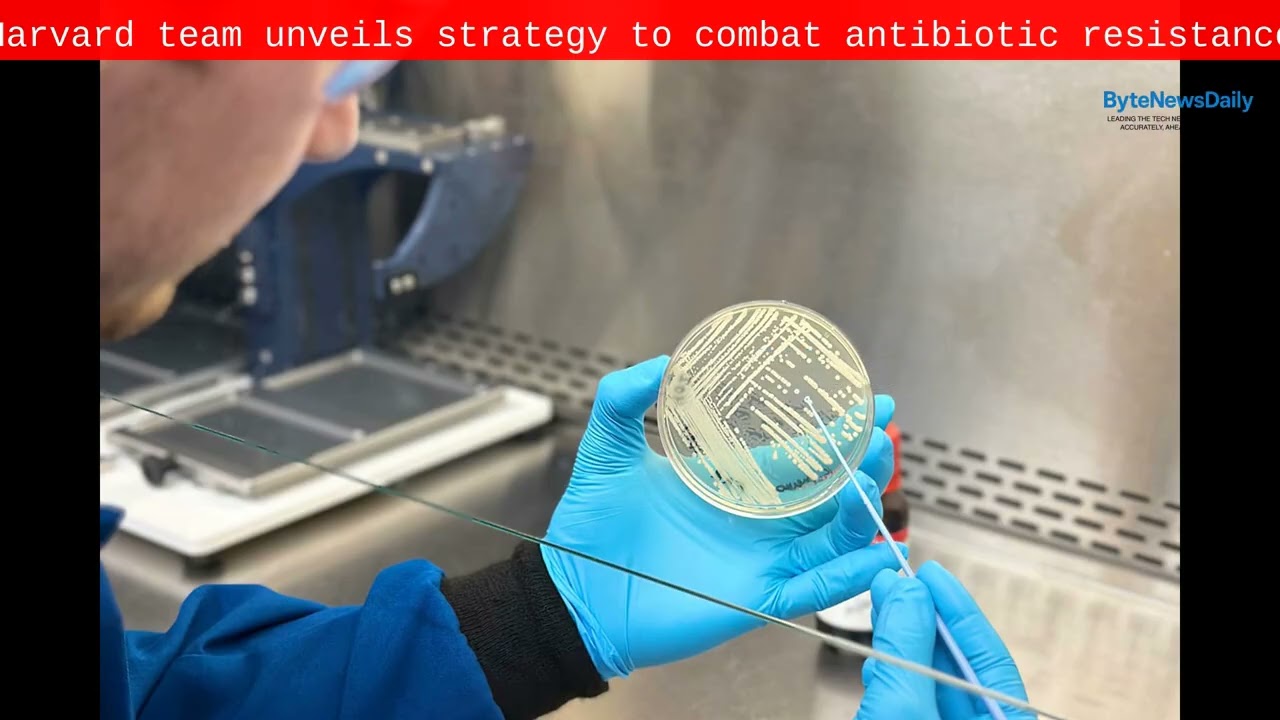 Harvard team unveils strategy to combat antibiotic resistance - Byte News Daily