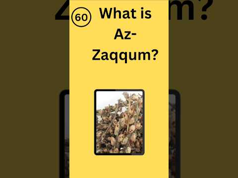 60/100 day riddle challenge#shorfeed#viralvideo#islamicgeneralknowledgequiz