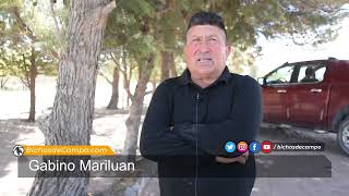 Gabino Mariluan, productor ovino de Cerro Policía, en Río Negro