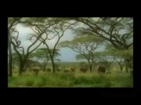 მოქალაქეთა თავშესაფარი