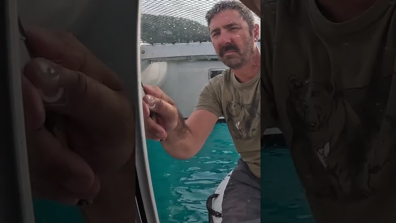 You Think Boat Life Is a Vacation?