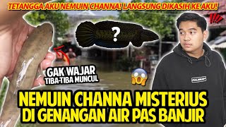 GAK SENGAJA NEMUIN CHANNA MISTERIUS DI GENANGAN AIR PAS BANJIR! TETANGGA AKU LANGSUNG PANGGIL AKU!
