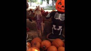Celebration, Florida pumpkin patch 2013