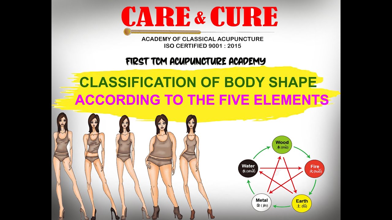 body type classification
