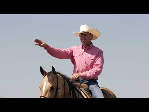 Trevor Brazile: Addressing Backsliding in Head Horses — What a Head Horse Must Know