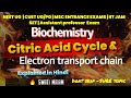 Citric Acid Cycle & Electron Transport Chain (ETC)💥 Respiration In One Shot🔥Explained In Hindi |