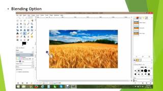 INTRODUCTION TO GIMP 2 8 Tutorial