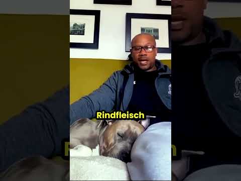 Dieser Hund reagiert nur auf diese Worte! 😮