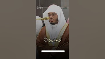مقتطف من تلاوة فضيلة الشيخ أ.د. #ياسر_الدوسري من صلاة العشاء 21 ربيع الآخر 1446هـ.