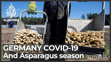 German asparagus season uncertain as COVID curbs shut out workers