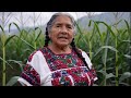 HISTORIA REAL DE ESTA ABUELA: ¡CUANDO MI MADRE MURIÓ, MI PADRE ME CULPÓ DE TODO!
