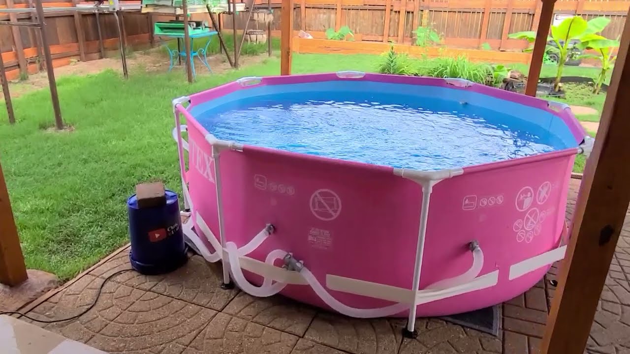 Новый ярко-розовый бассейн Intex высотой 8 футов на заднем дворе. И новый котёнок...