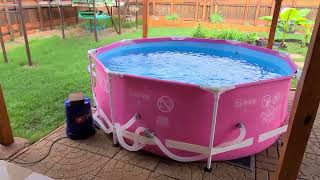 New "hot pink" Intex 8' above ground backyard pool. And a new kitten...