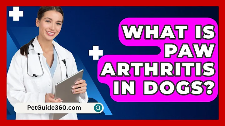 What Is Paw Arthritis in Dogs? - PetGuide360.com