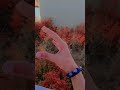 Pata Nahin Kuchh Logon Ko Yah Baat Kyon Nahin Samajh ЁЯШбЁЯШб Pata Nahin Kuchh Logon Ko Yah Baat Kyon Nahin Samajh ЁЯШбЁЯШб