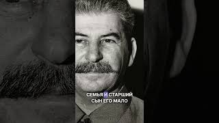 Что Случилось Со Старшим Сыном Сталина, Яковом? #Shorts #История
