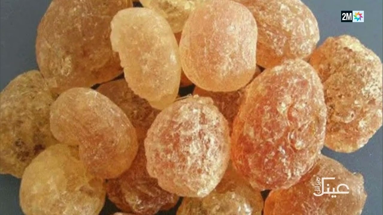 عينك ميزانك : الإثنين 29 يناير 2024