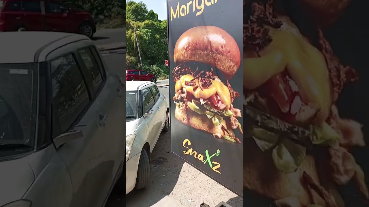 Tender coconut shearing and cutting tool