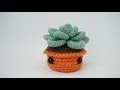 Planta suculenta amigurumi