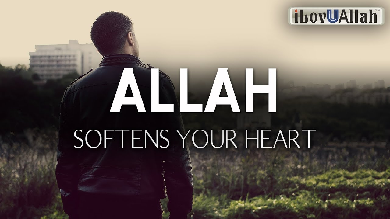ALLAH SOFTENS YOUR HEART FOR DOING THESE THINGS