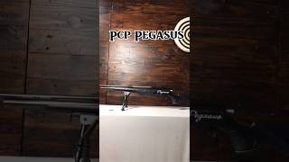 Pcp Pegasus Teleskop, Di Bawah 2 Jt Saja