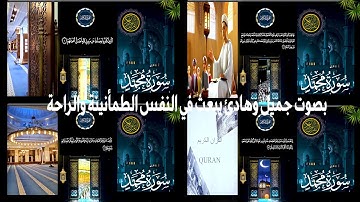 تلاوة خاشعة من سورة محمد بصوت يبكي القلوب | "محمد رسول الله" تلاوة تهز الوجدان