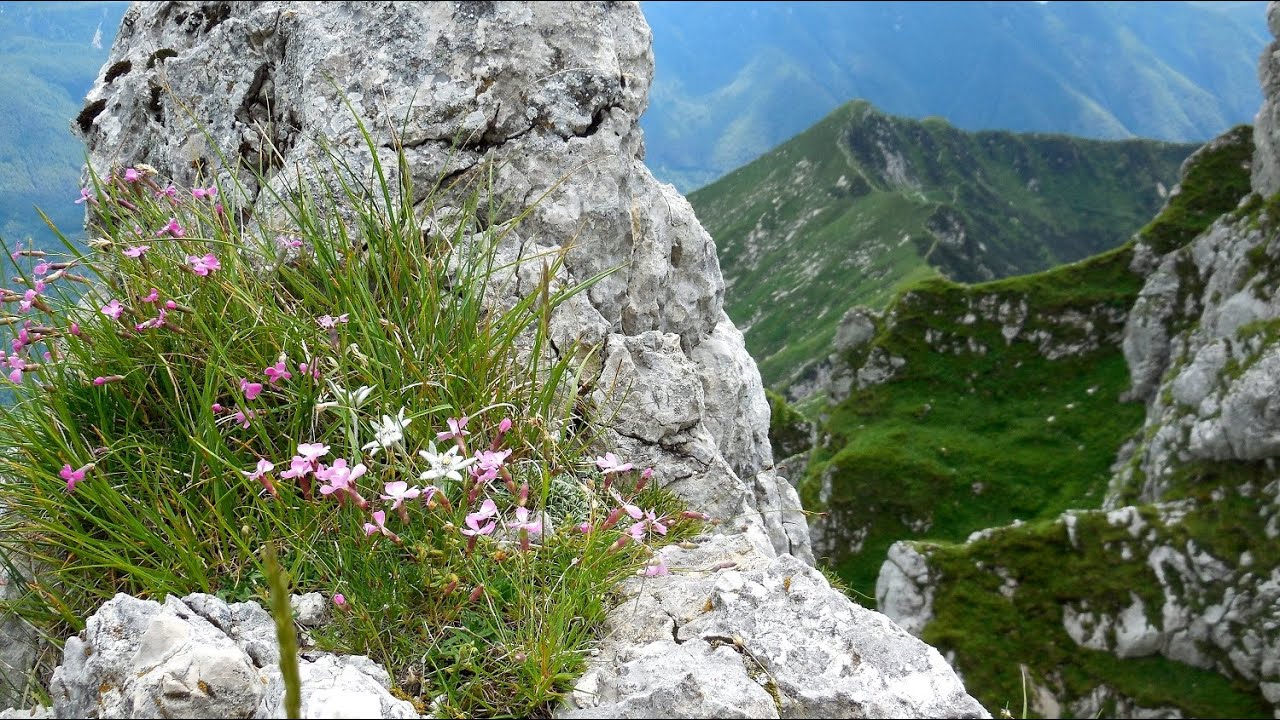 Anello della Baba Grande in Val Resia
