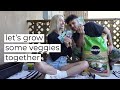 LET&#39;S GROW SOME VEGGIES TOGETHER I shesfrench