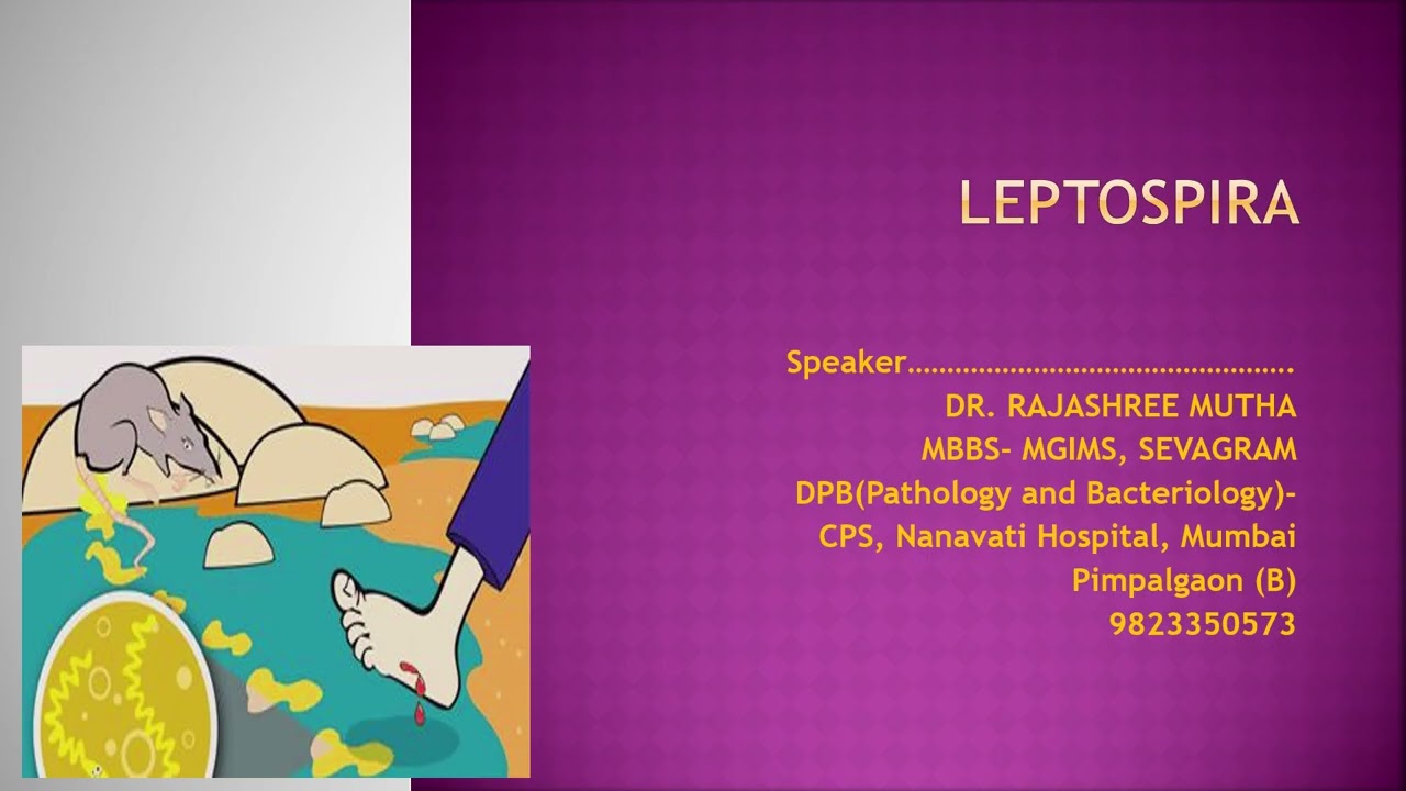 NURSING  10   SPIROCHETES   DR MUTHA