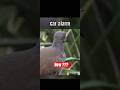 You Won’t Believe What This Bird Can Sound Like