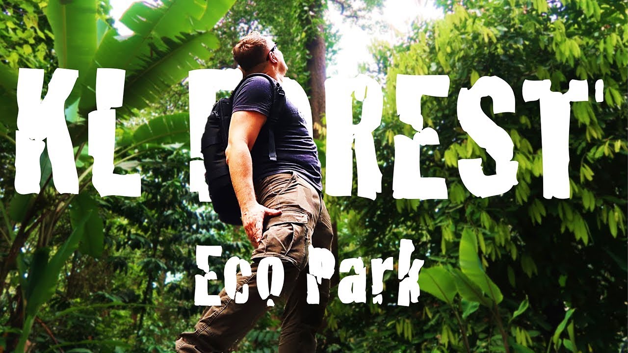 KL FOREST ECO PARK - A jungle in Kuala Lumpur?
