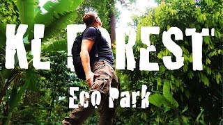 Download Lagu KL FOREST ECO PARK - A jungle in Kuala Lumpur? MP3