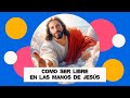 Como ser libre 8 pasos que cambiaran tu vida 💛 🙏