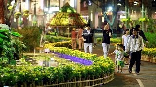 Chợ Hoa Xuân Phú Mỹ Hưng Q7