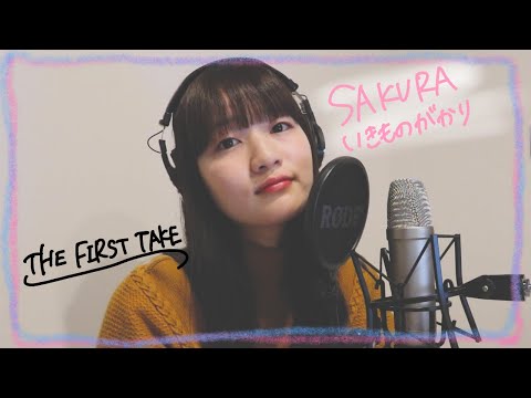 【歌ってみた】SAKURA/いきものがかり　covered by Hiico