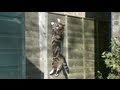 Gravity Defying Cat - The Slow Mo Guys