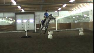 2ft Equitation - 2015 BEC May Schooling Show