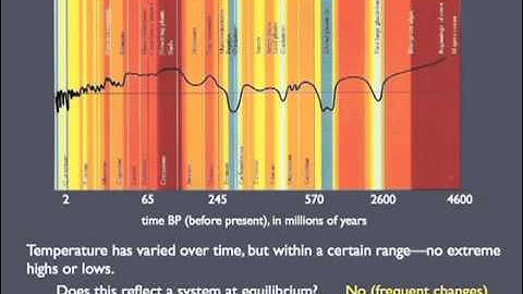 Complex Systems and Feedbacks