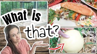 That's weird...😳 | Seasoning a Blackstone, Autumn Philly Cheese Steaks & Back to School | Homemaking