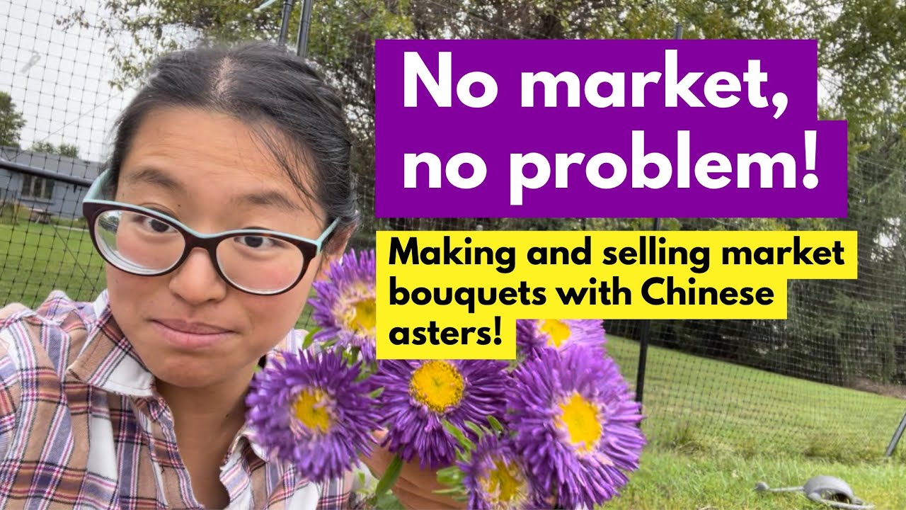No Market, No Problem! Making & selling market bouquets with Chinese asters