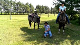 Gator And Frosty Trishs Show 2013
