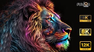Amazing Lions Collection in ULTRA HD 4K-8K-12K HDR 60FPS DOLBY VISION - ANIMALS COLORFUL - CINEMATIC
