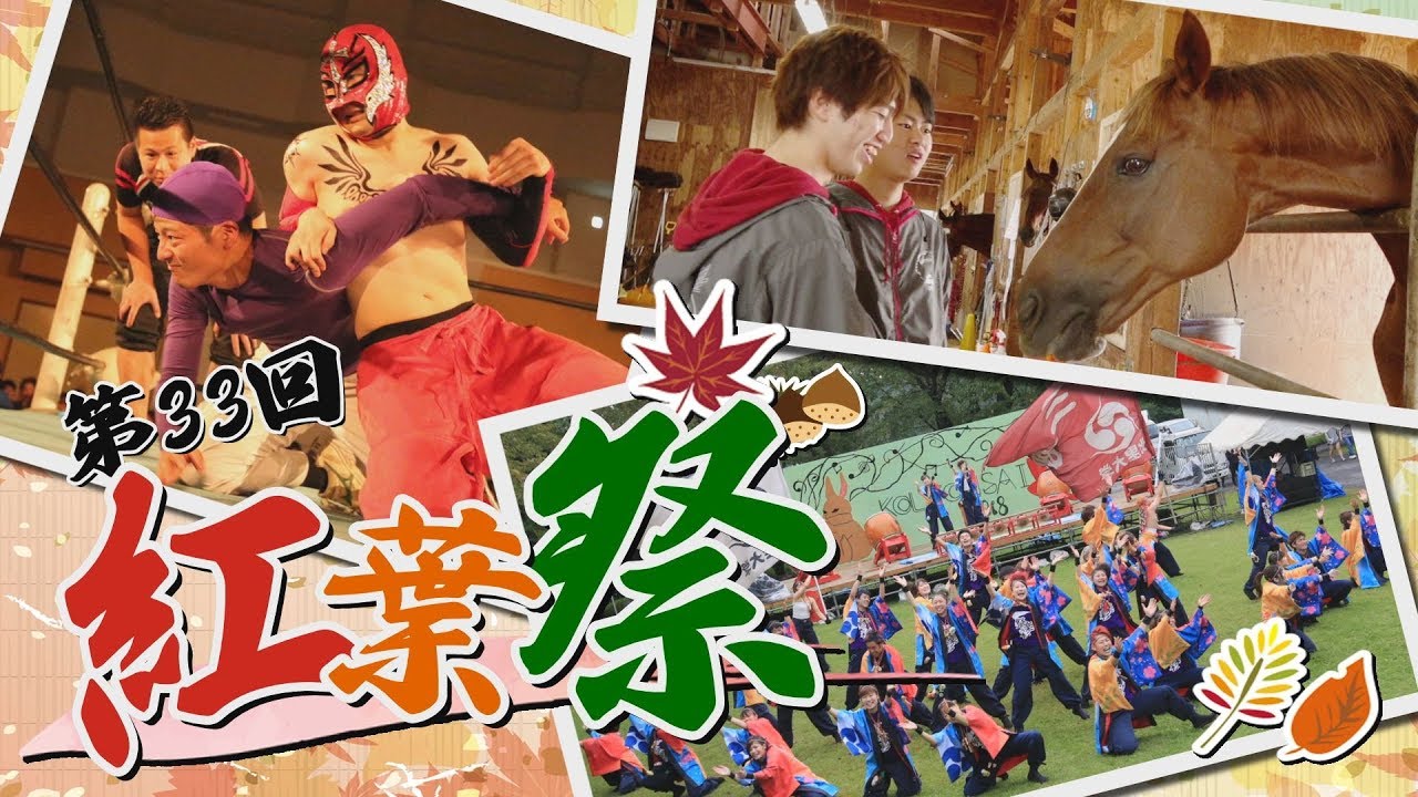 北里大学獣医学部 第33回 紅葉祭2018 Youtube