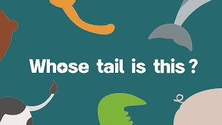 Famous Whose Tail is This? Animal Guessing Game Net Worth