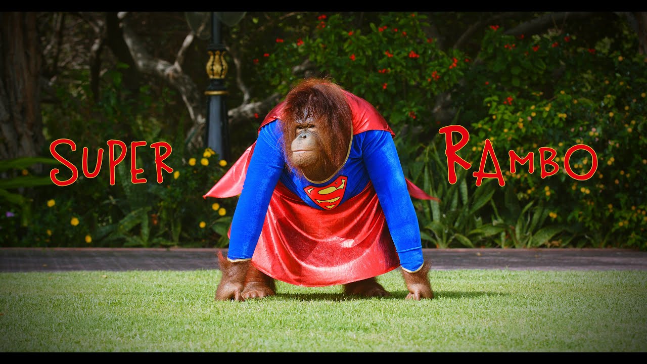 Animalia - Моя жизнь от Рэмбо - Часть 1