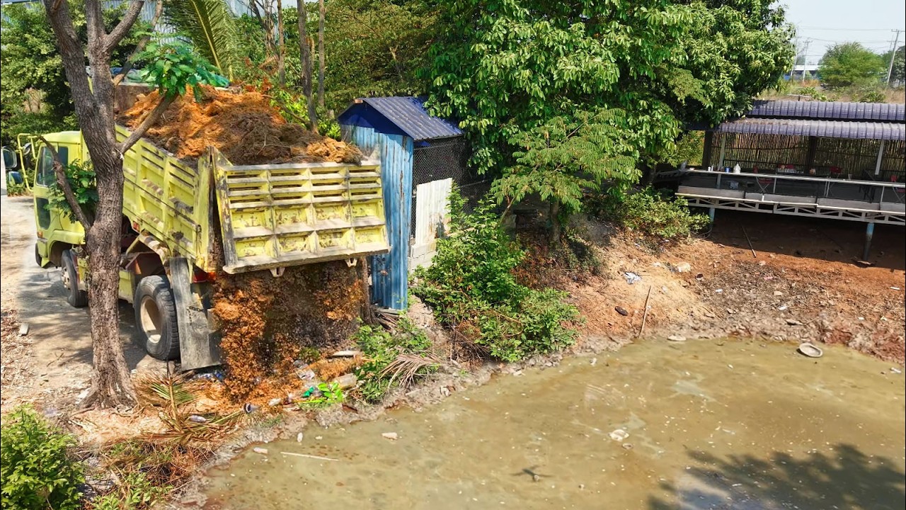 Started New Project!Dump Truck Filling Land Delete pond, By Skillful Dozer D20P Pushing Soil perfect