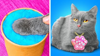 I Found a Stray Cat! 😍 DIY Ideas and Gadgets for Pet Owners