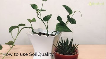 How to setup your SoilQuality sensor?