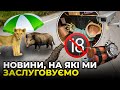 ВЕЛИКЕ РУЙНІВНИЦТВО / КАБАН ВІДКРИВ СПА-САЛОН / ПАРА 18+ / УКРАЇНСЬКІ ВІСТІ ВІД СЕРГІЯ ШКАПИ